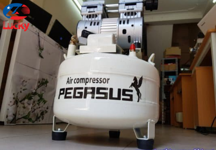 May Nen Khi Pegasus 40l (4) 1689578791